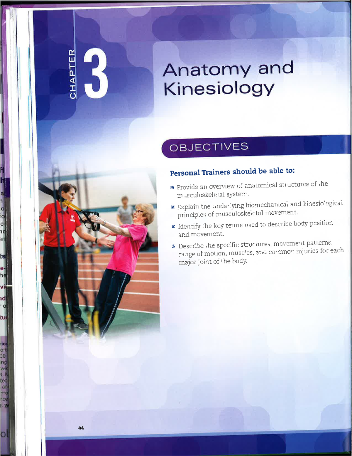 Midterm Exam Review Notes: Anatomy & Kinesiology (XYZ123) - Studocu