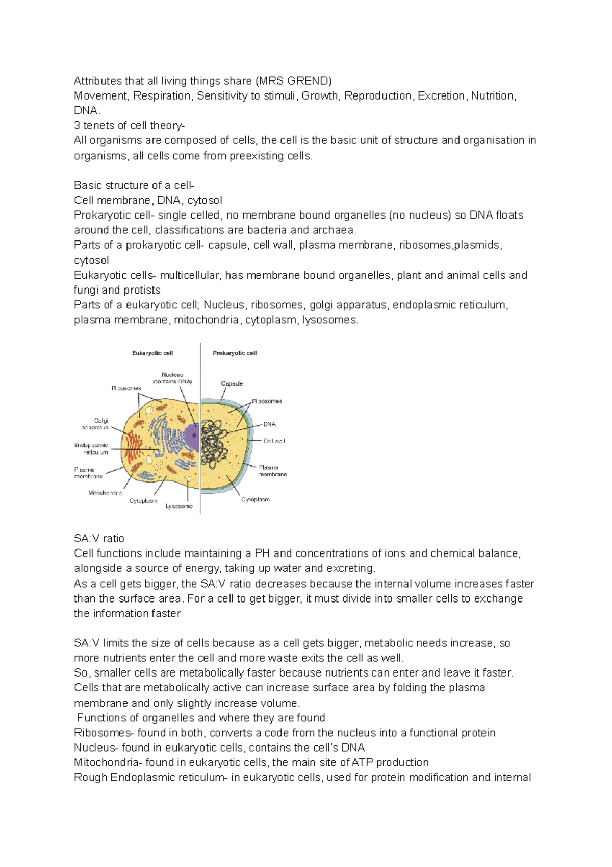 BIO101 Final Exam Unit 1 Study Notes: Cell Structure & Functions - Studocu