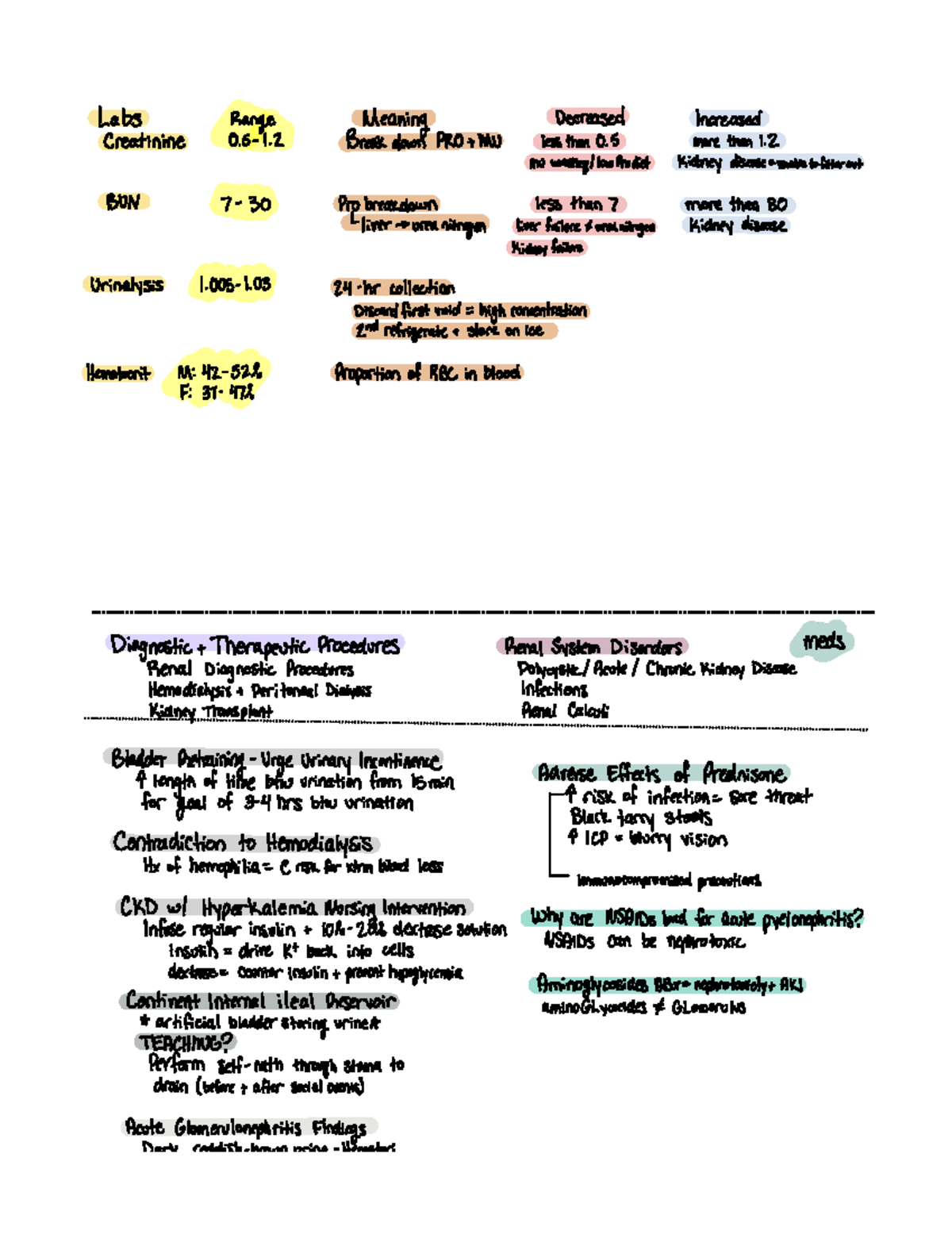 Med Surg 301: Renal & Urinary Review Notes & Dynamic Quizzes - Studocu