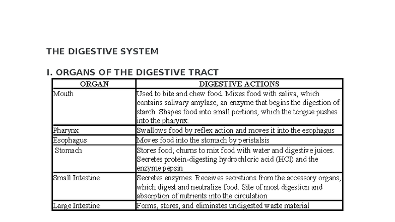MED GLO Final Exam: Digestive System Overview and Key Terms - Studocu