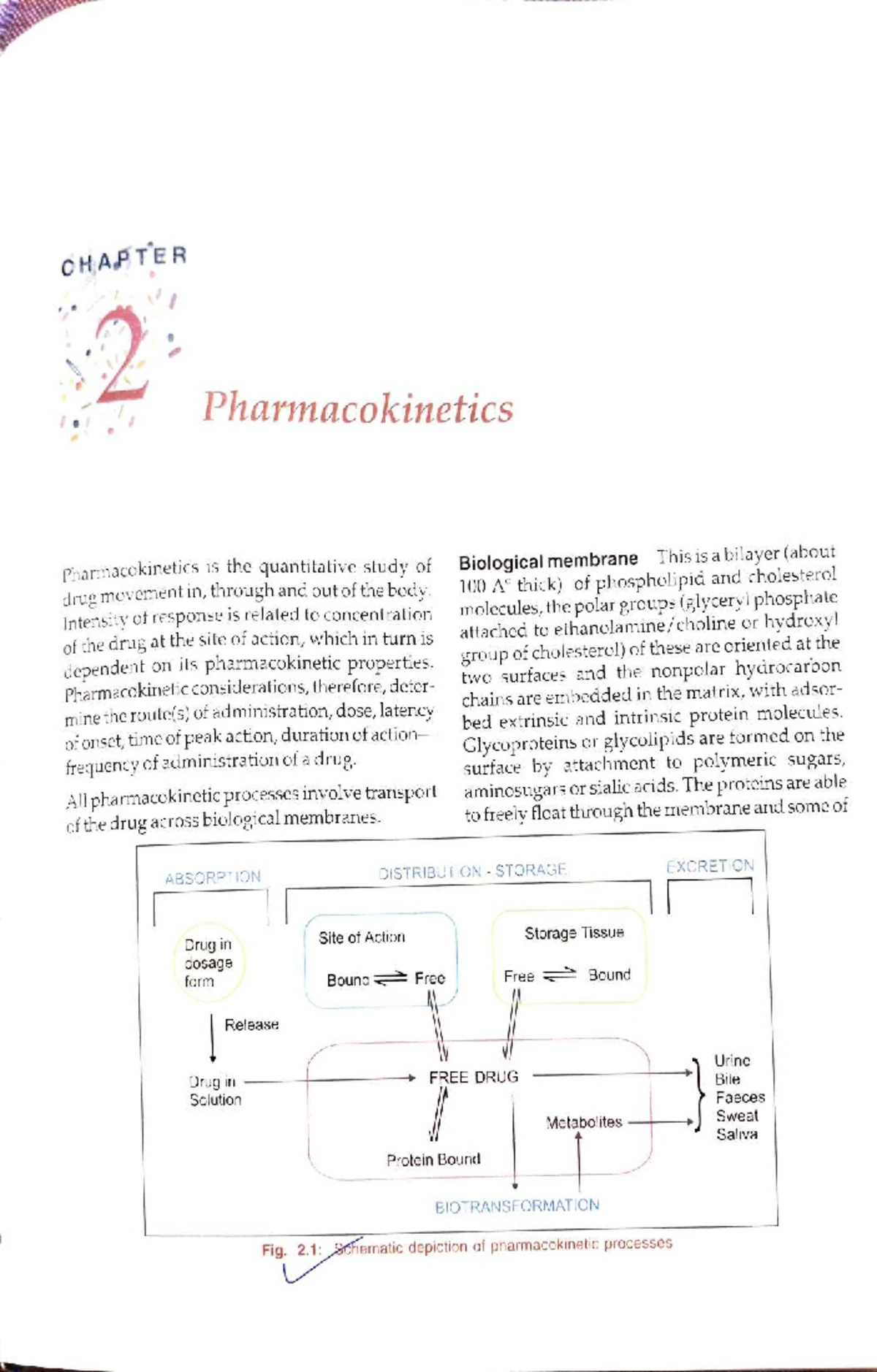 Comprehensive Guide to Pharmacokinetics: Key Principles & Applications ...