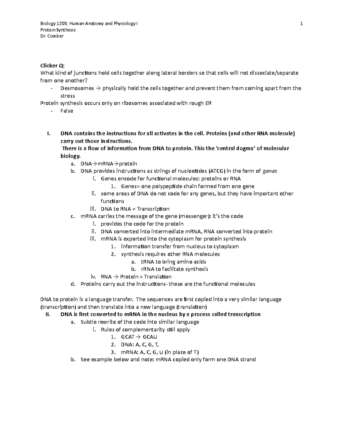 Unit 3, Part 2: The Central Dogma & Protein Synthesis Overview - Studocu