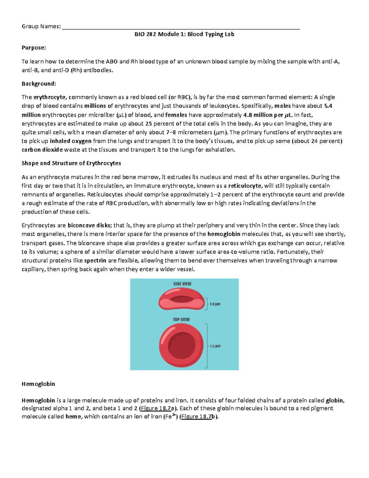 BIO 202 Module 1: Blood Typing and Vessel Structure Lab Report - Studocu