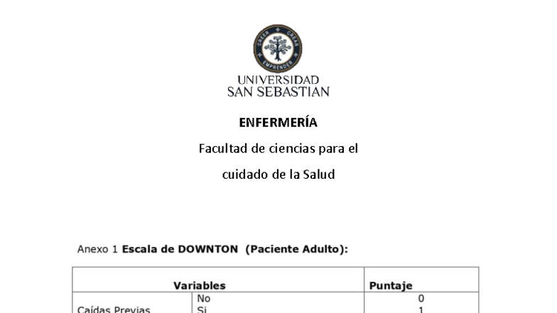 22-anexo-3-escala-de-downton-gestion-del-cuidado-en-la-persona
