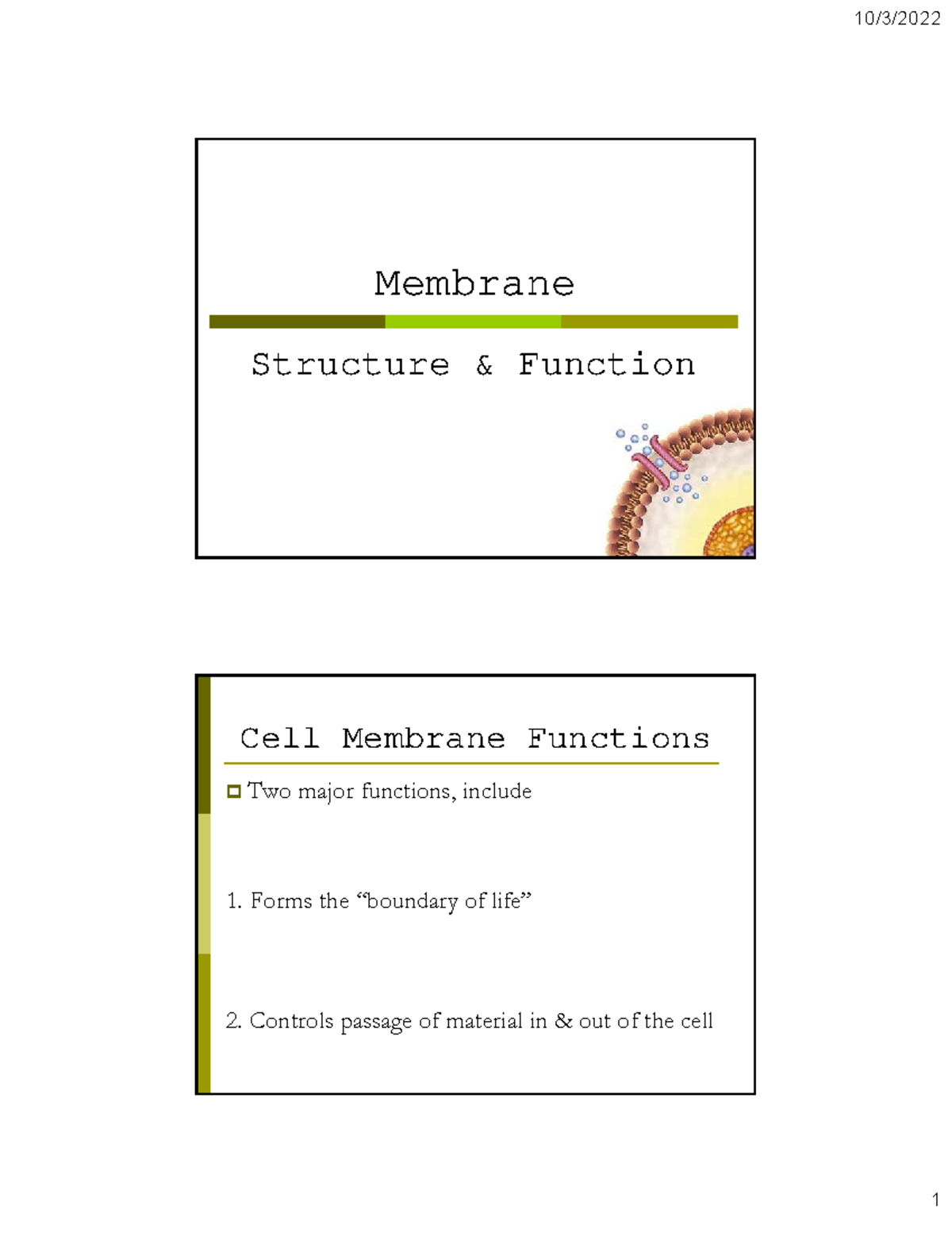 Chapter 7 - Cell Membrane Structure & Function - Bio Study Notes - Studocu