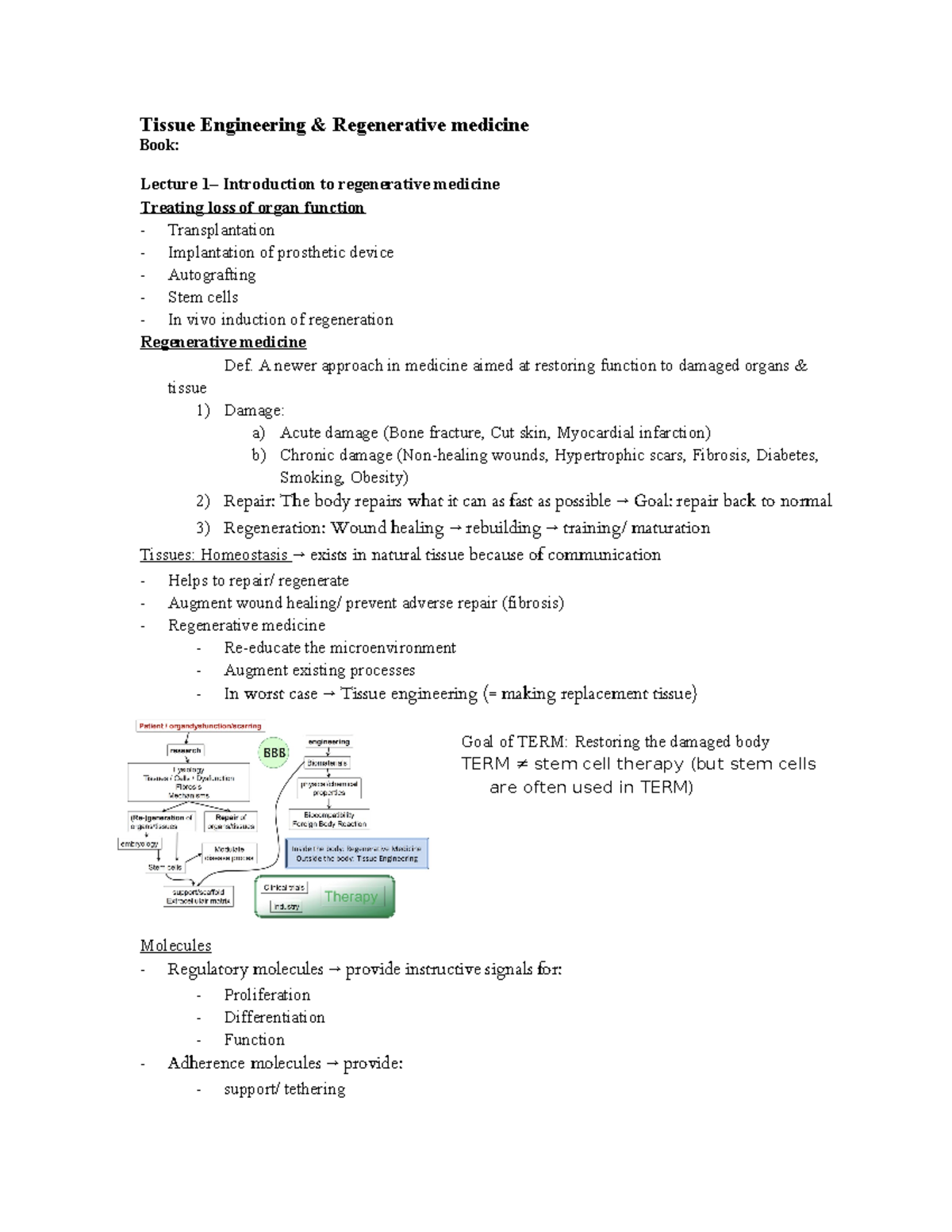 Tissue Engineering & Regenerative Medicine (TERM) Lecture Notes ...