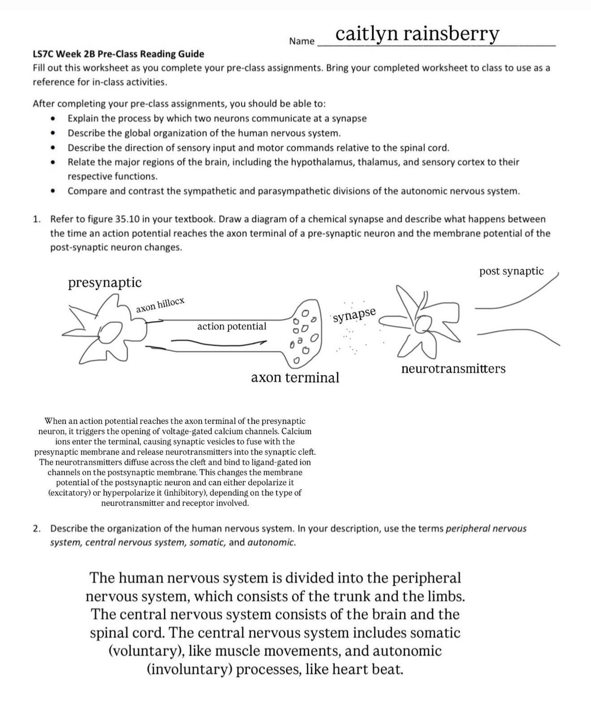 LS7C Week 2B Reading Guide: Nervous System Overview and Functions - Studocu