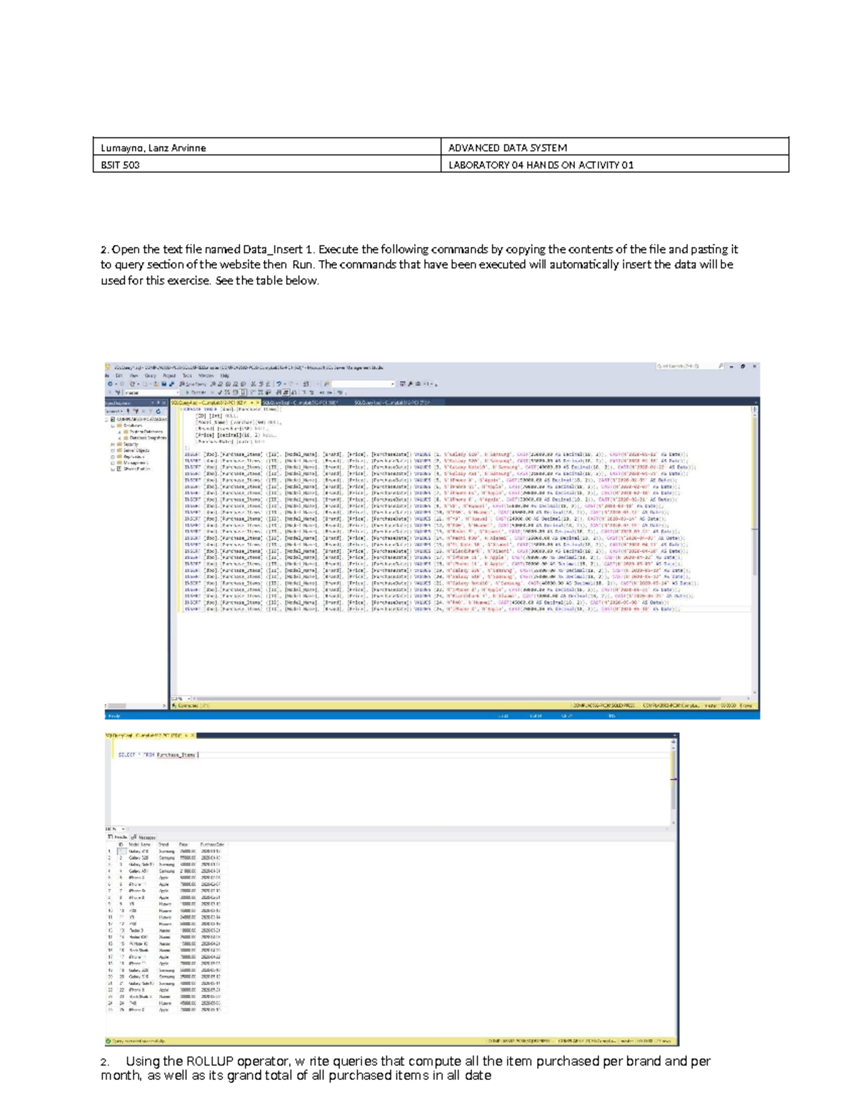 BSIT 503 Lab 04: Hands-On Activity 01 - Data Insertion & Queries - Studocu
