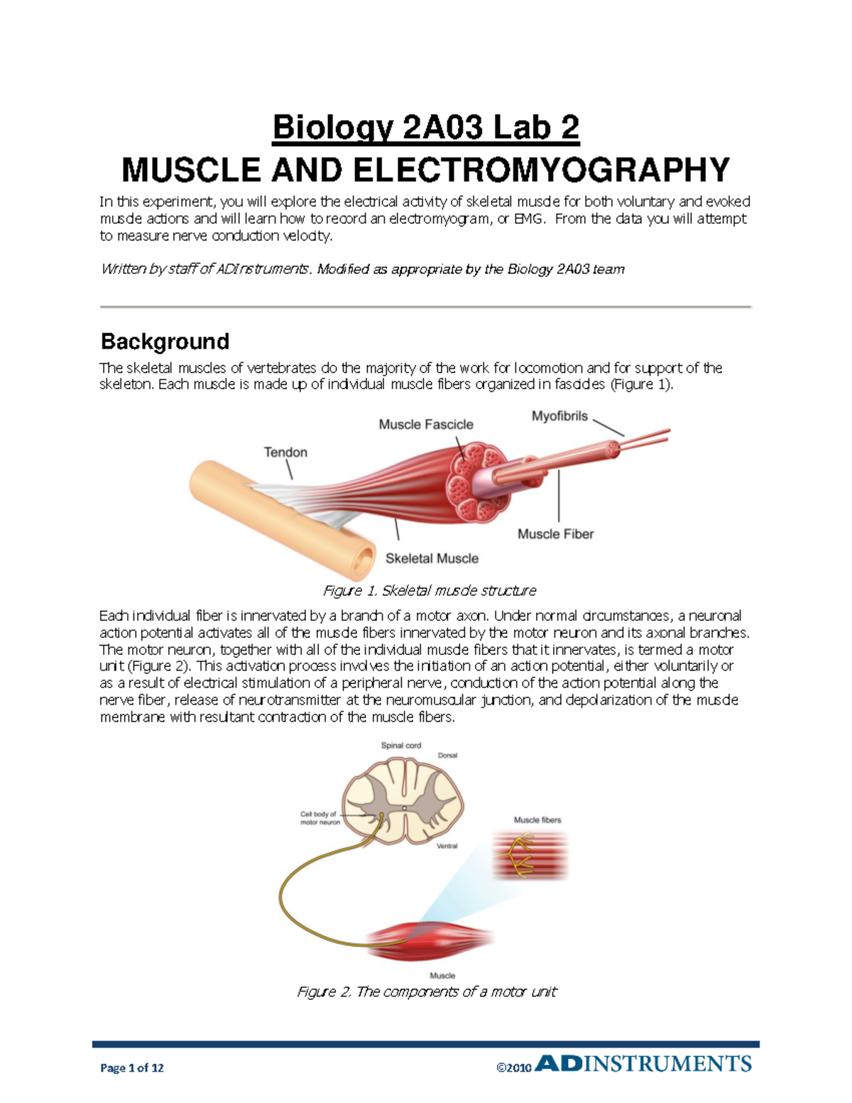 Bio2A03-2020-Lab 2 - lab 2 pdf - Warning: TT: undefined function: 32 ...