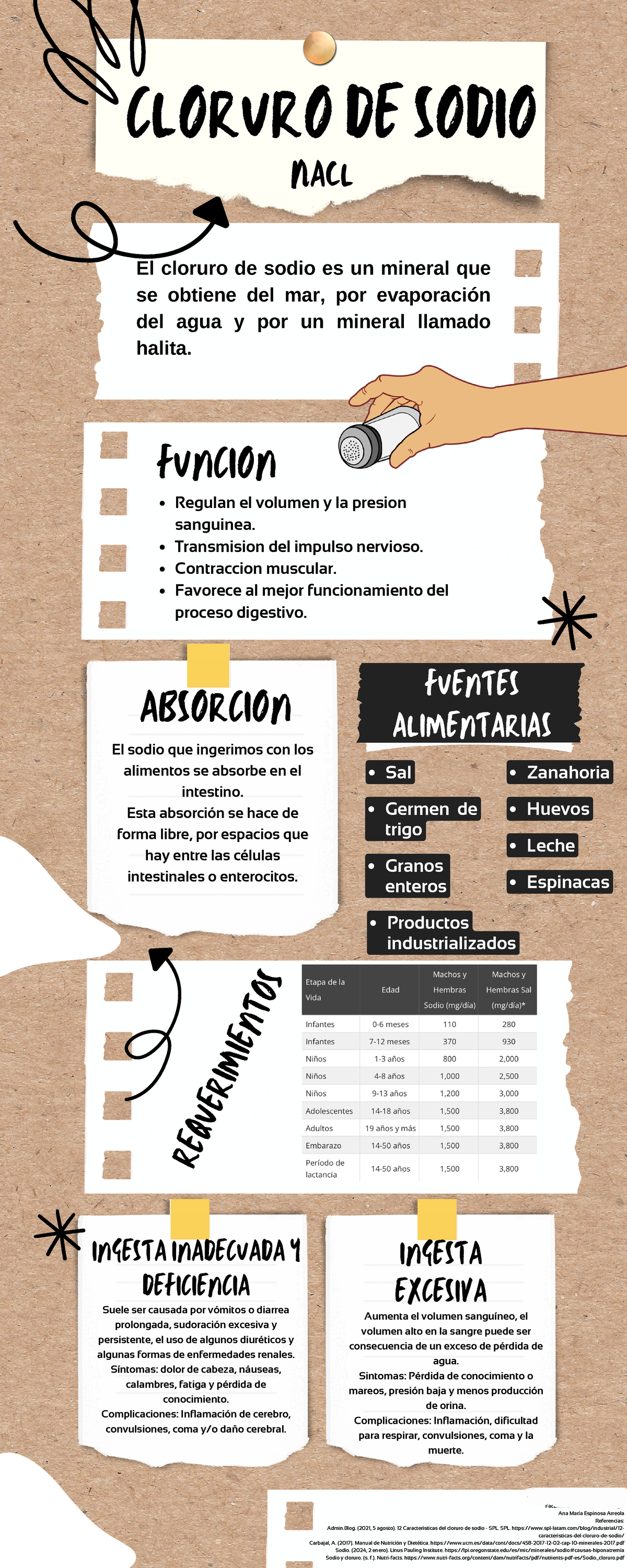 Infografía sobre Cloruro de Sodio y su Importancia en la Salud - Studocu