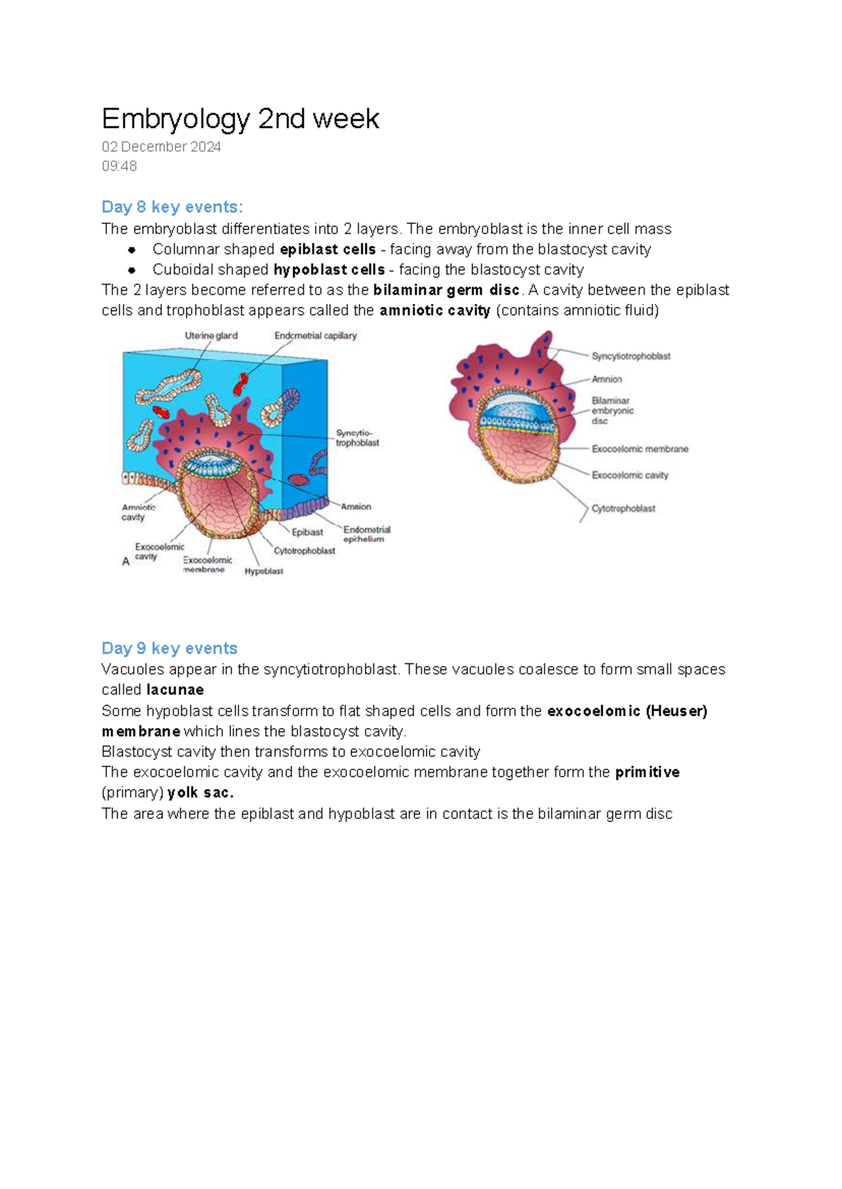 Embryology 2 - Week 2 Key Events and Clinical Applications - Studocu