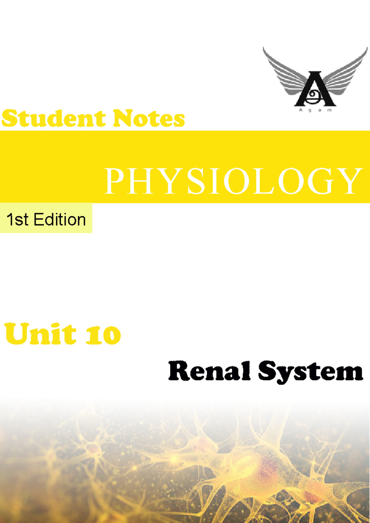 Renal Physiology Study Notes - PHYSIOLOGY 1st Ed. Unit 10 - Studocu