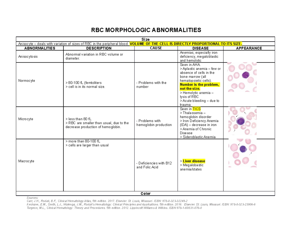 Trans- Template - HEMATOLOGY LECTURE/FINALS WEEK 14 LECTURE LEUKOCYTE ...