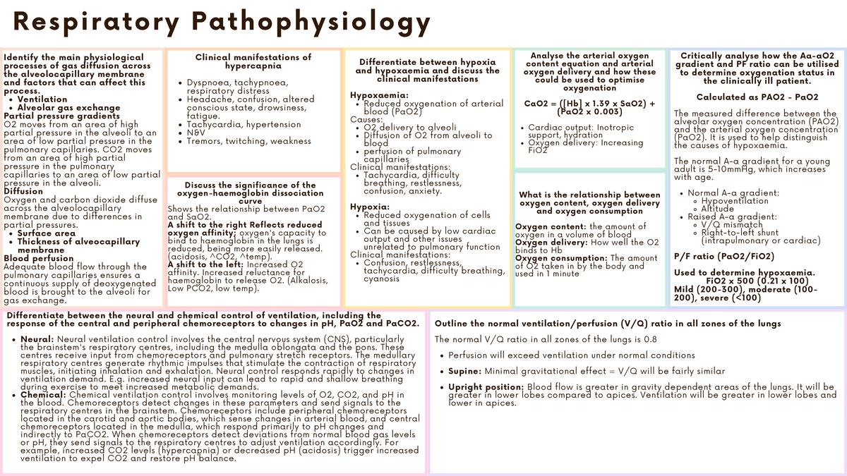 Respiratory Pathophysiology (Final Exam) Summary and Key Concepts - Studocu