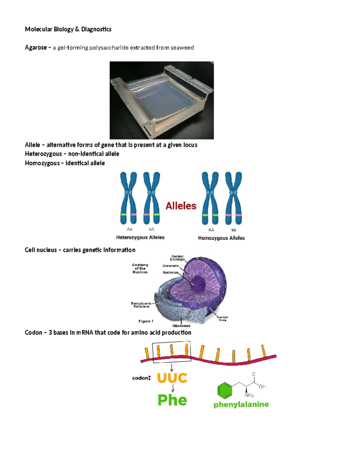 MBD 101: Key Terms in Molecular Biology Diagnostics Explained - Studocu