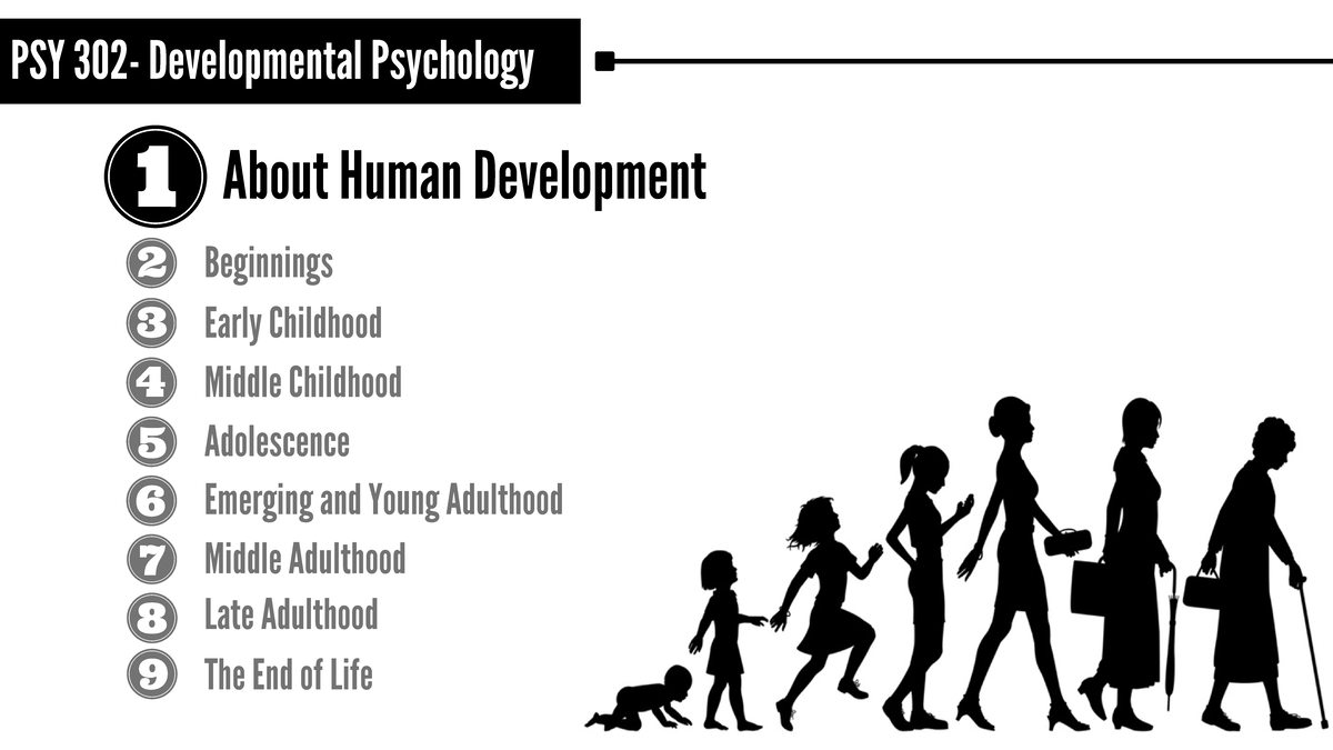 PSY 302 - Lecture Notes on Developmental Psychology: Chapter 2 Insights ...