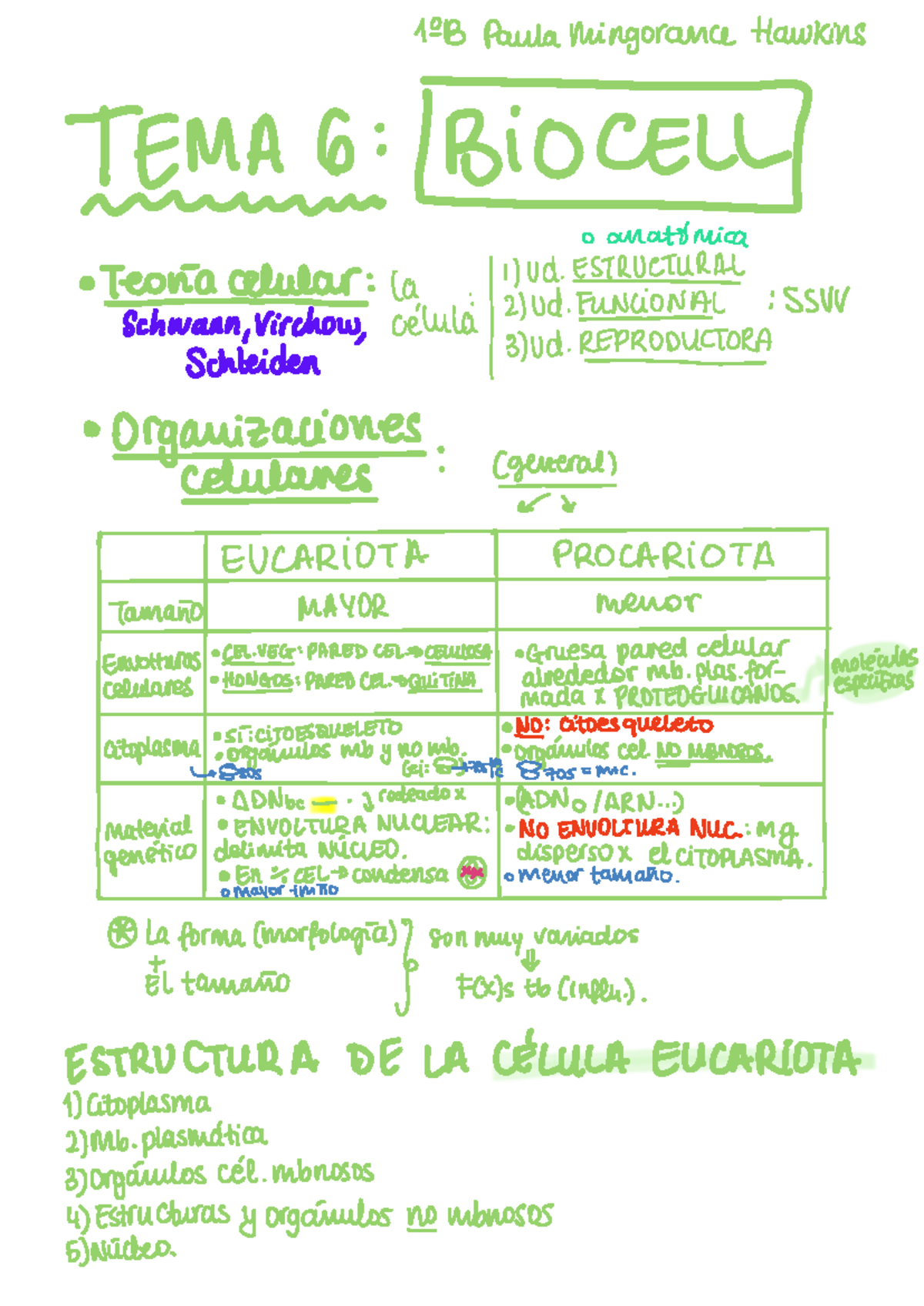 Apuntes Biocell: Mitosis y Meiosis en Organismos Unicelulares y ...