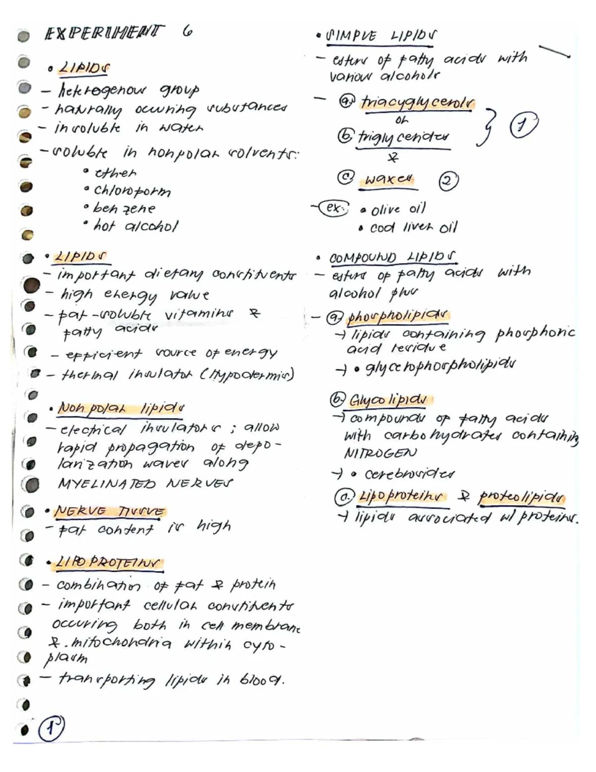 PA 2: Thorax and Lungs - Comprehensive Assessment Notes - Studocu