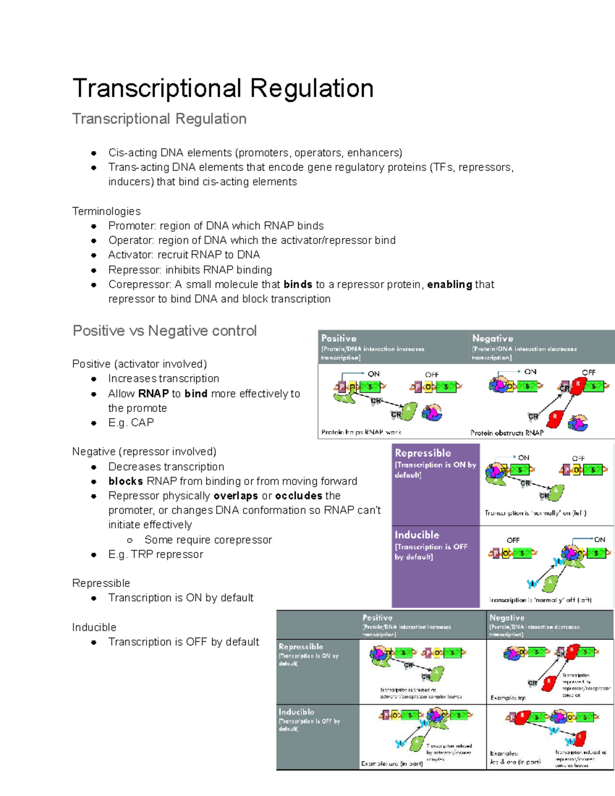 Transcriptional regulation: DNA elements and gene expression mechanisms ...
