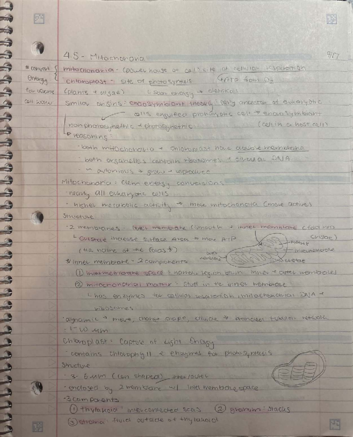 Title: CH101 - Chemistry Lecture Notes and Study Guide - Studocu
