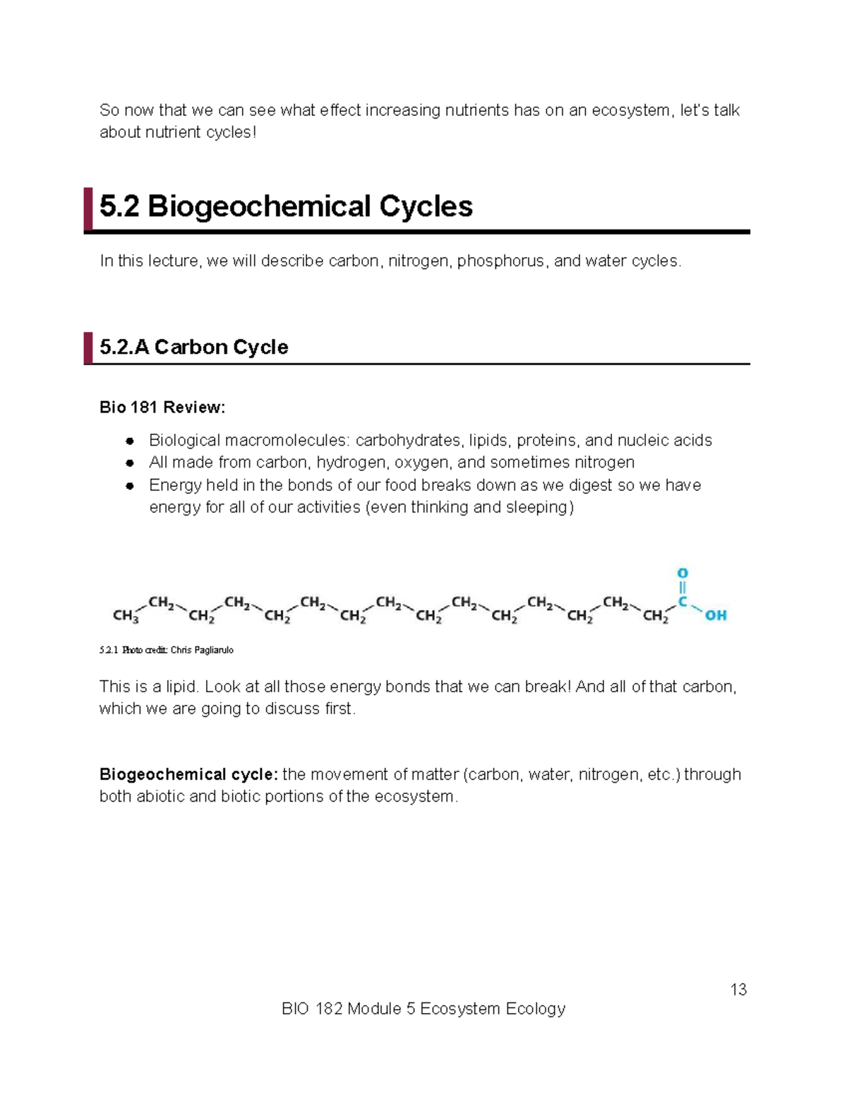 BIO 182 Lecture: Understanding 5.2 Biogeochemical Cycles - Studocu