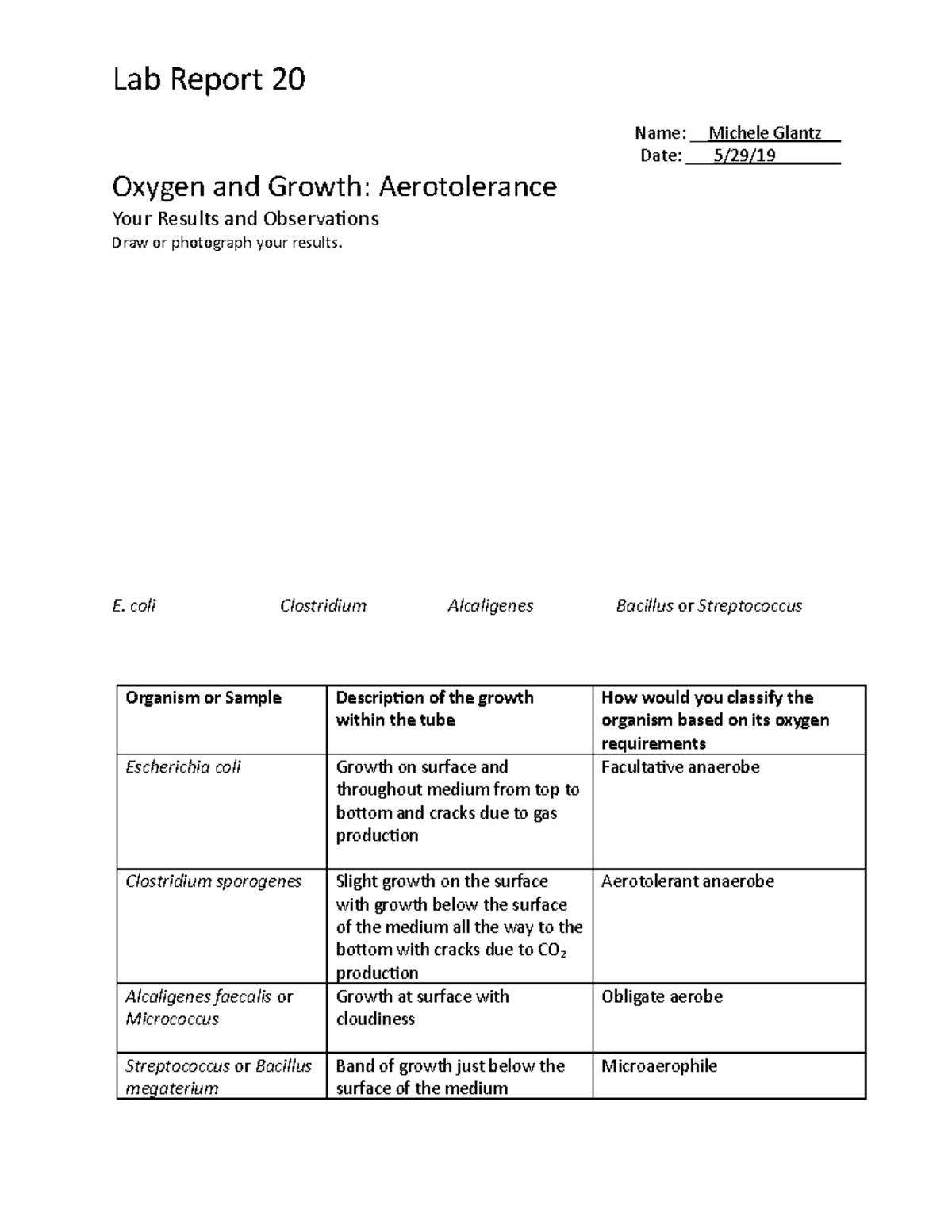 Lab Exercise 20: Aerotolerance and Oxygen Requirements Analysis - Studocu
