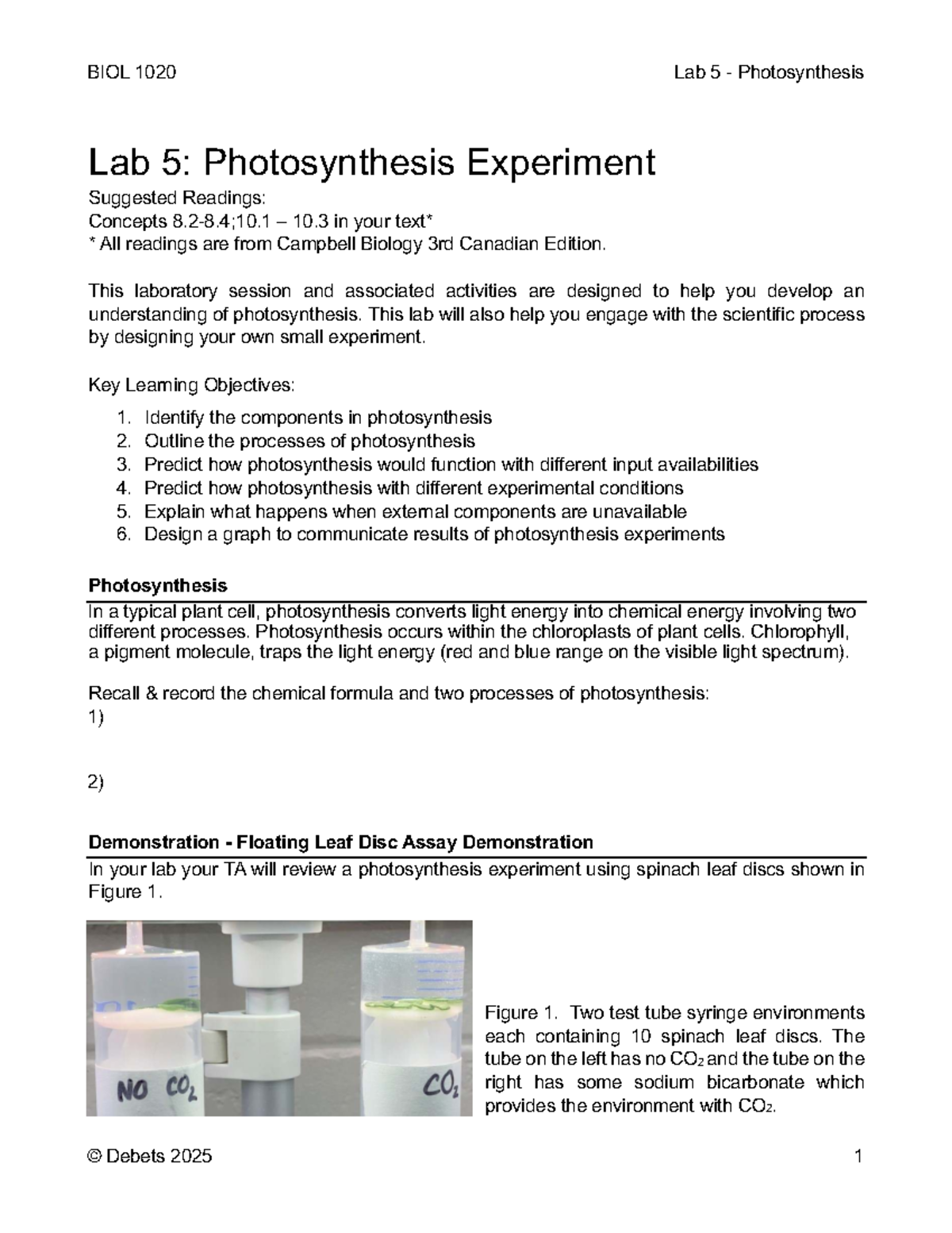 BIOL 1020 Lab 5: Photosynthesis Experiment and Protocol Guide - Studocu