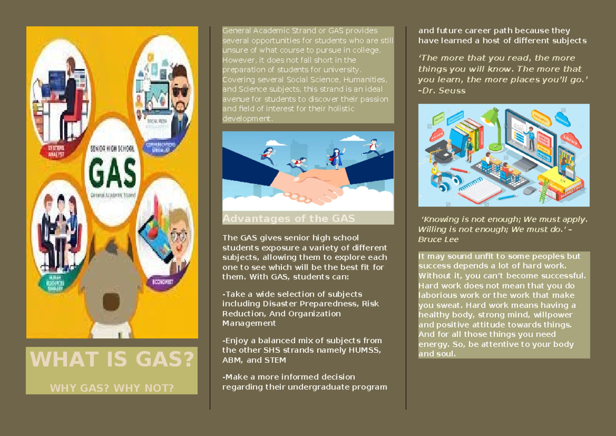 GAS Overview: Exploring Opportunities in Academics and Careers - Studocu