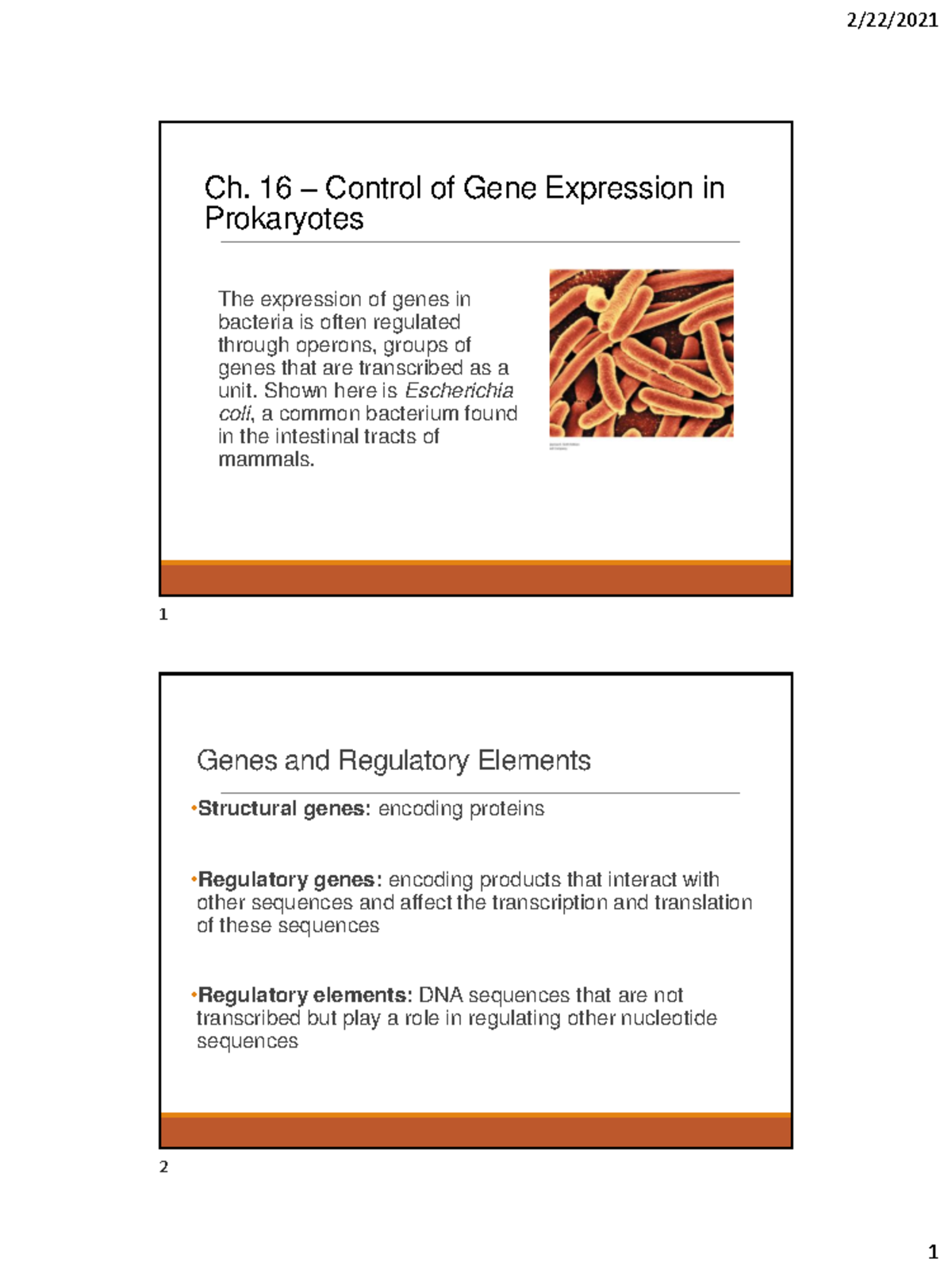 Ch. 16: Control of Gene Expression in Prokaryotes - E. coli Operons ...