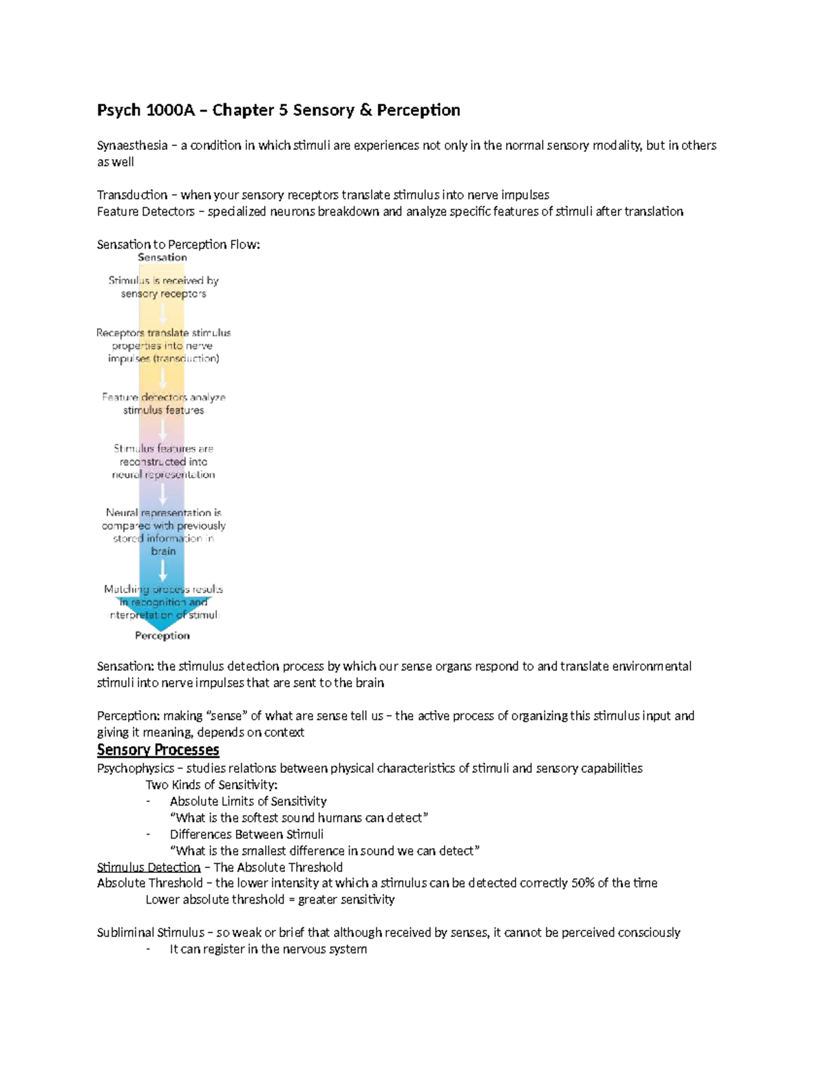 Psych 101 Chapter 5: Sensory Processes and Perception Insights - Studocu