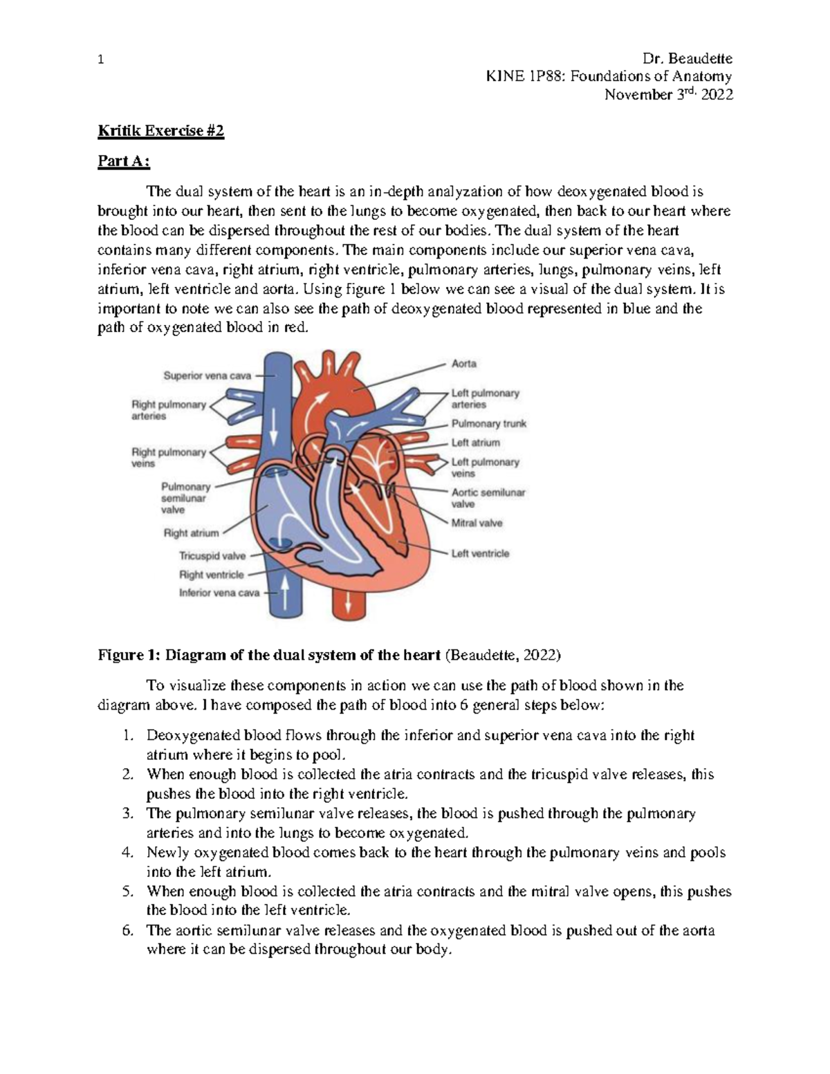 KINE1P88 - Kritik Exercise 2: Understanding the Dual System of the ...