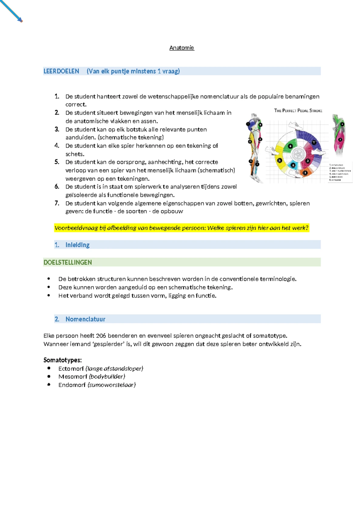 Latijnse benamingen - Anatomie en Fysiologie Latijnse benaming ...