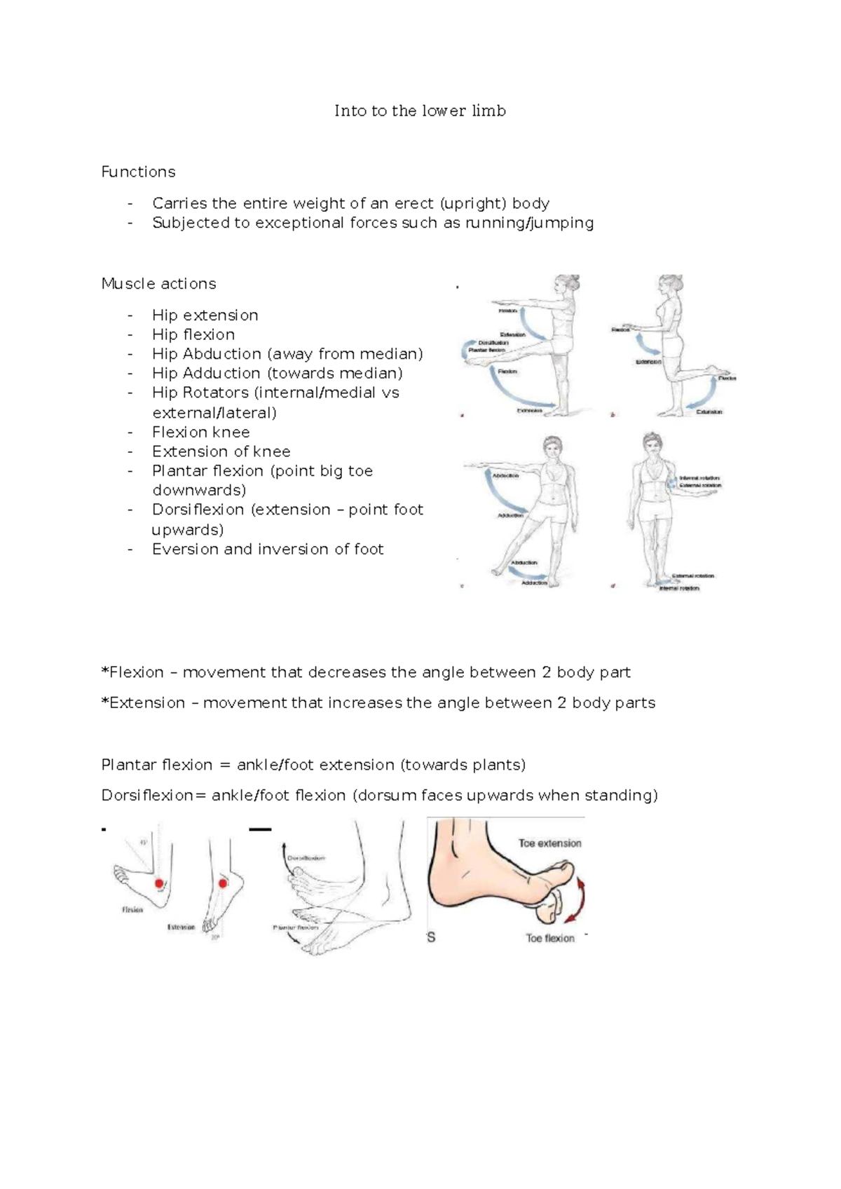 BIO101: Introduction to Lower Limb Anatomy and Functions - Studocu