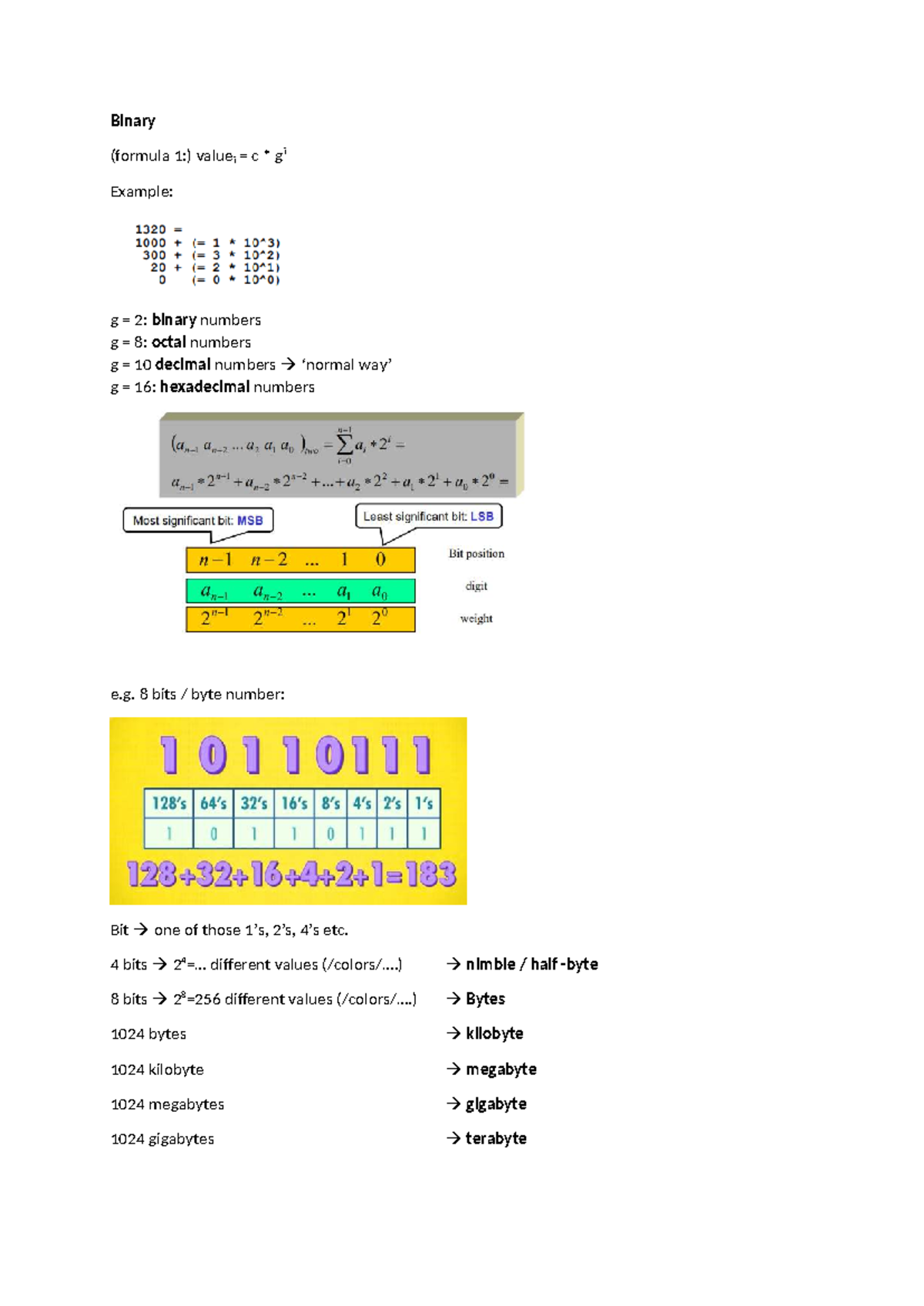 Binary Conversion and Overflow Concepts in C (CS101) - Studeersnel