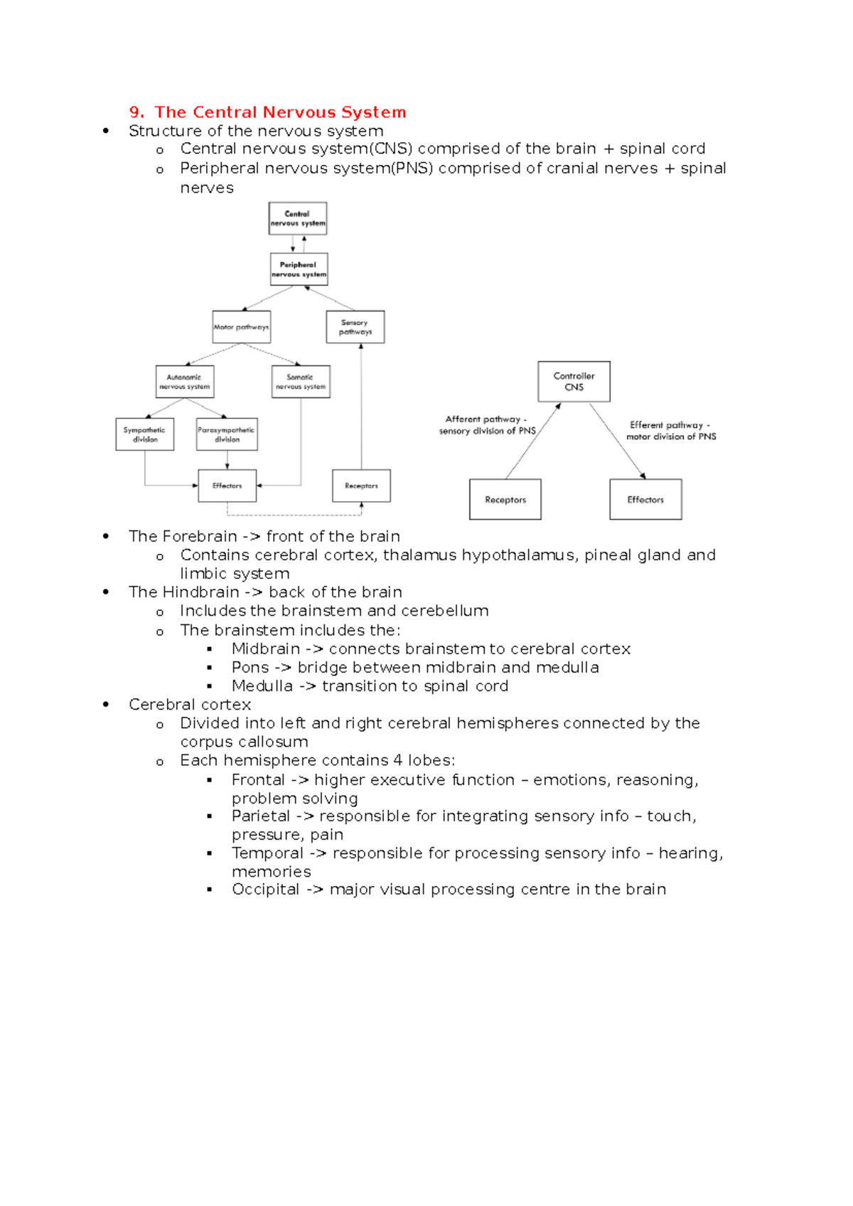 BIOL1008 Notes Structure and Function - The Central Nervous System ...