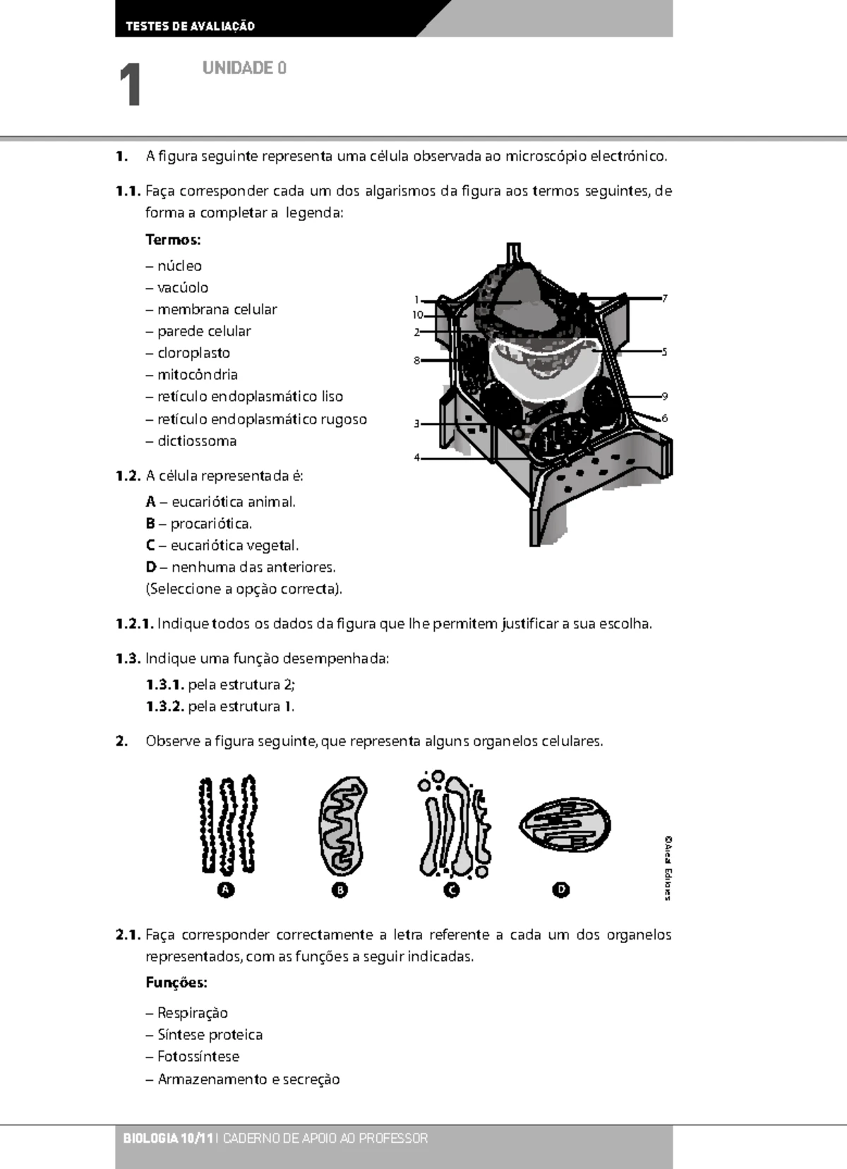 Exercícios de Biologia- 10º ano (Unidade 2)- Respiração em plantas e ...