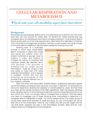 Lab Practical 2: Eukaryotic & Prokaryotic Cell Structures and Functions ...