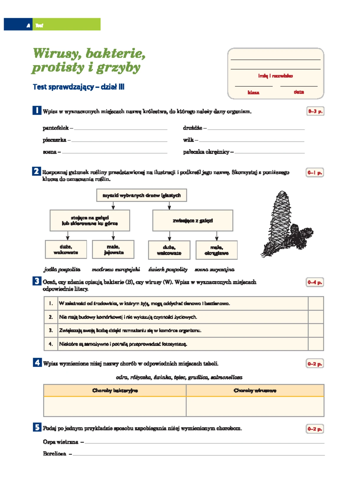 Sprawdzian Z Biologii świat Roślin www.studocu.com