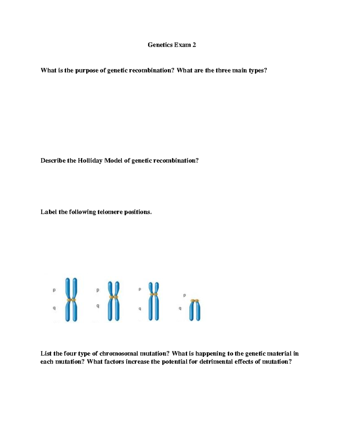 Genetics Exam 2 Review: Key Concepts and Recombination Insights - Studocu