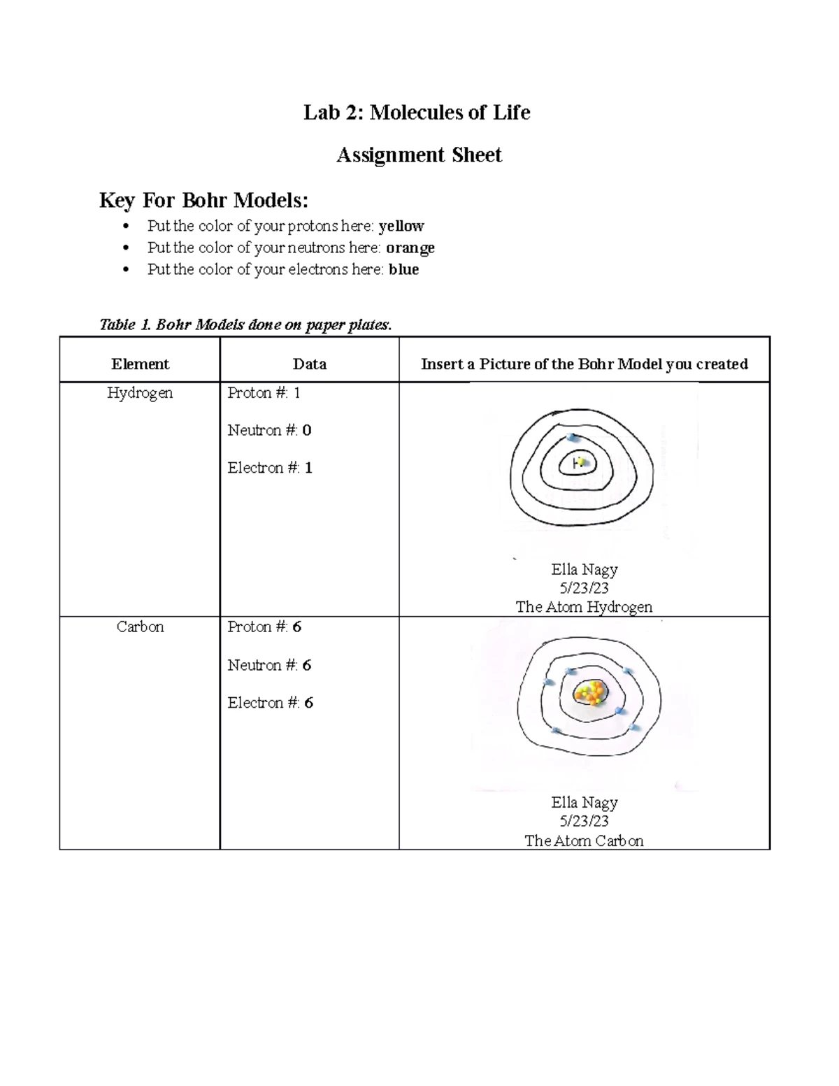 BIO 105 Karyotype & Genetic Disorders Assignment Sheet - Studocu