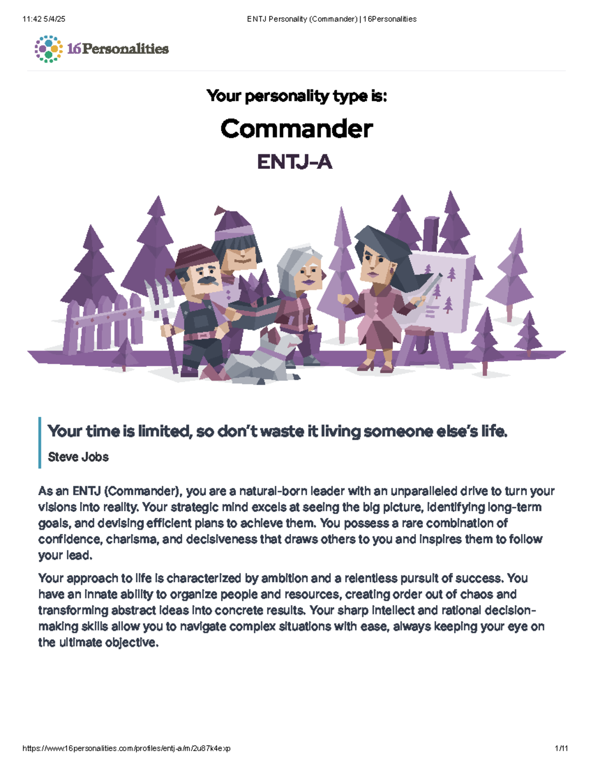 ENTJ Personality (Commander) Insights and Analysis - 16Personalities ...