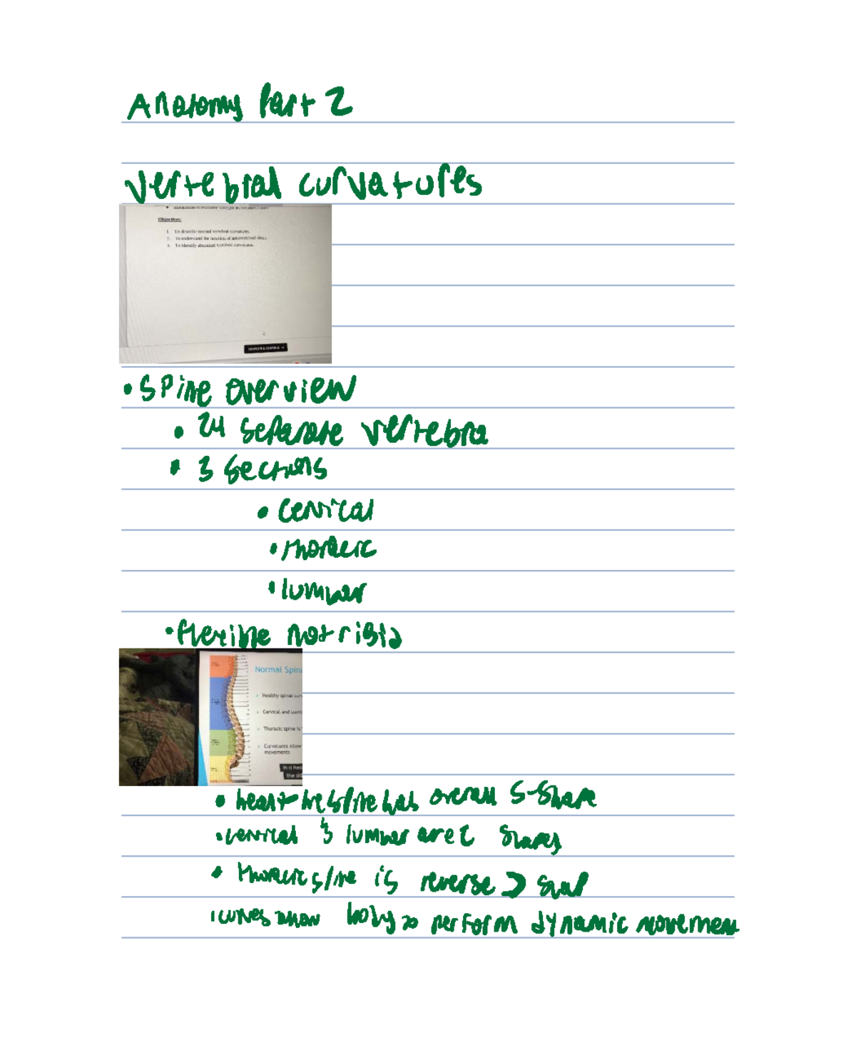 Anatomy 2: Overview of Spinal Curvatures and Disorders - Studocu