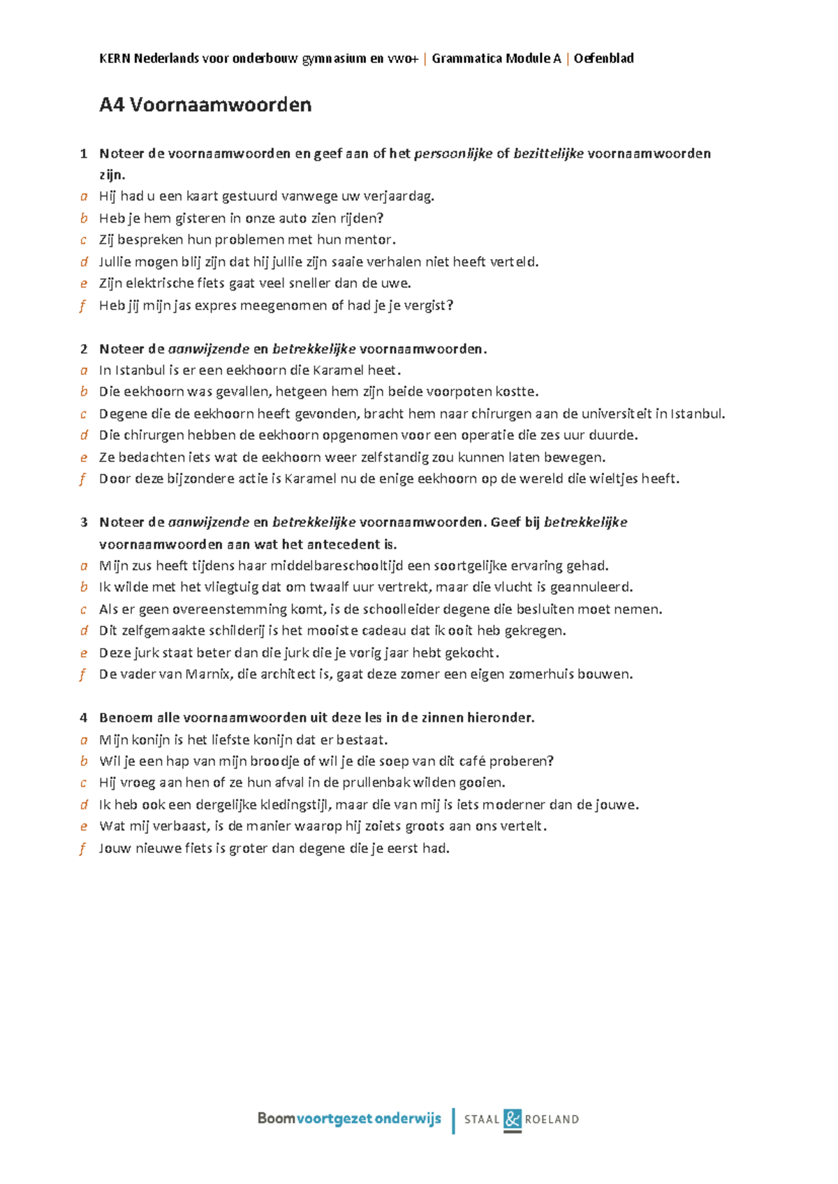 Oefenblad A4: Voornaamwoorden en Grammaticaregels (KERN Nederlands ...