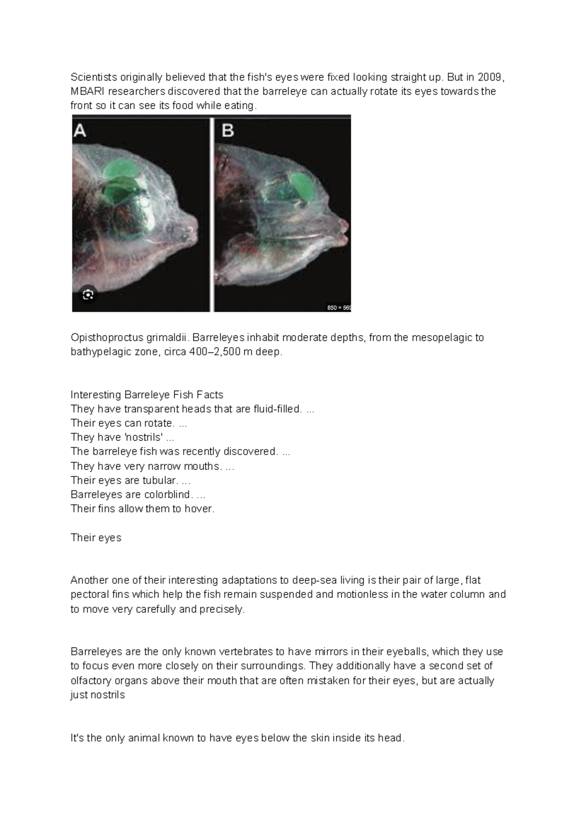 What Do Barreleye Fish Eat