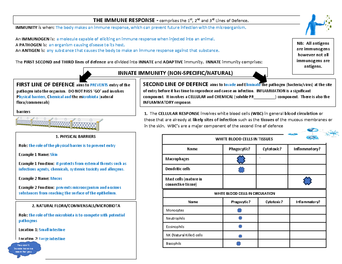 Summary Poster: Immune Response - Biology Notes for UNIT 4 AOS 1 - Studocu