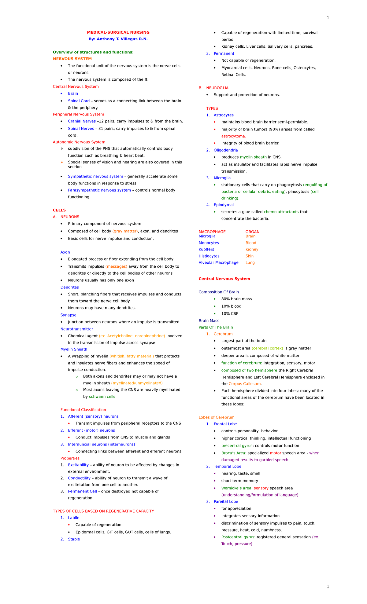 NURS 101: Comprehensive Overview of the Nervous System and Related ...