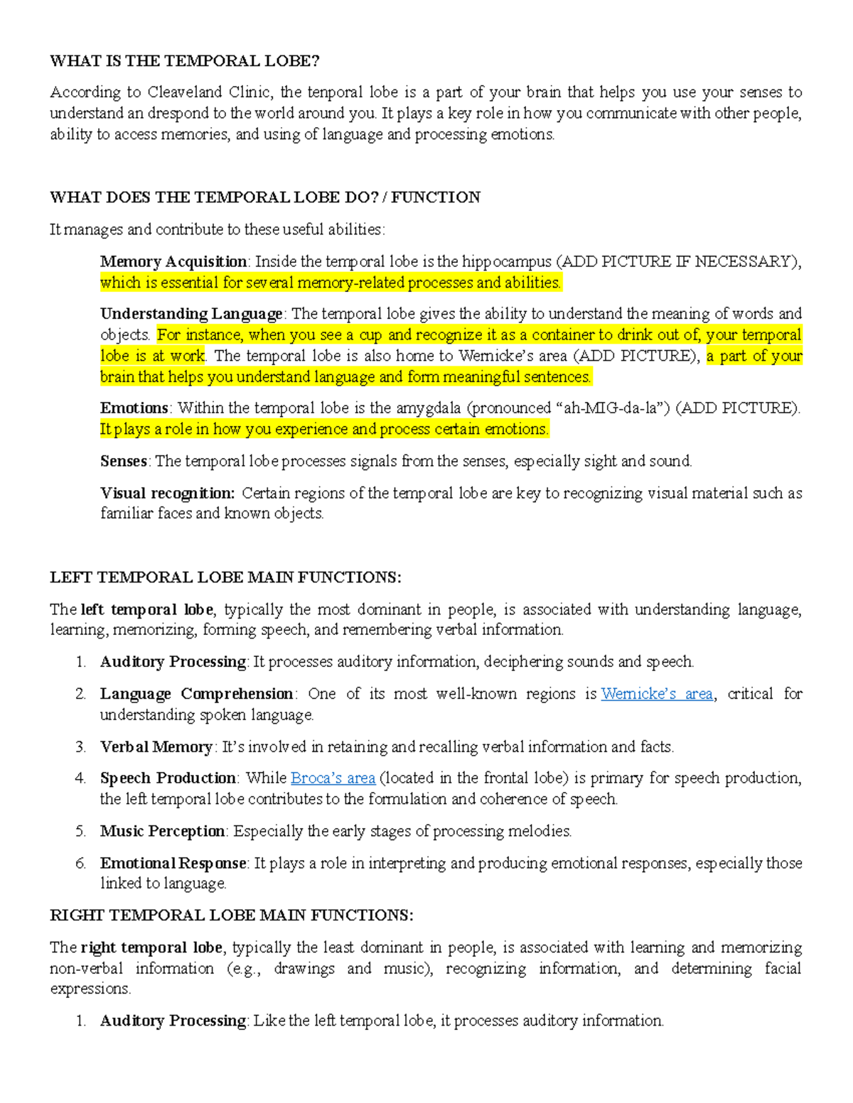 Temporal lobe: Definition, functions, and anatomy overview - Studocu