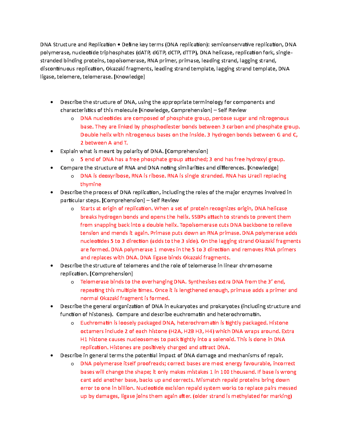 DNA Replication and Structure Overview: Key Concepts and Processes ...
