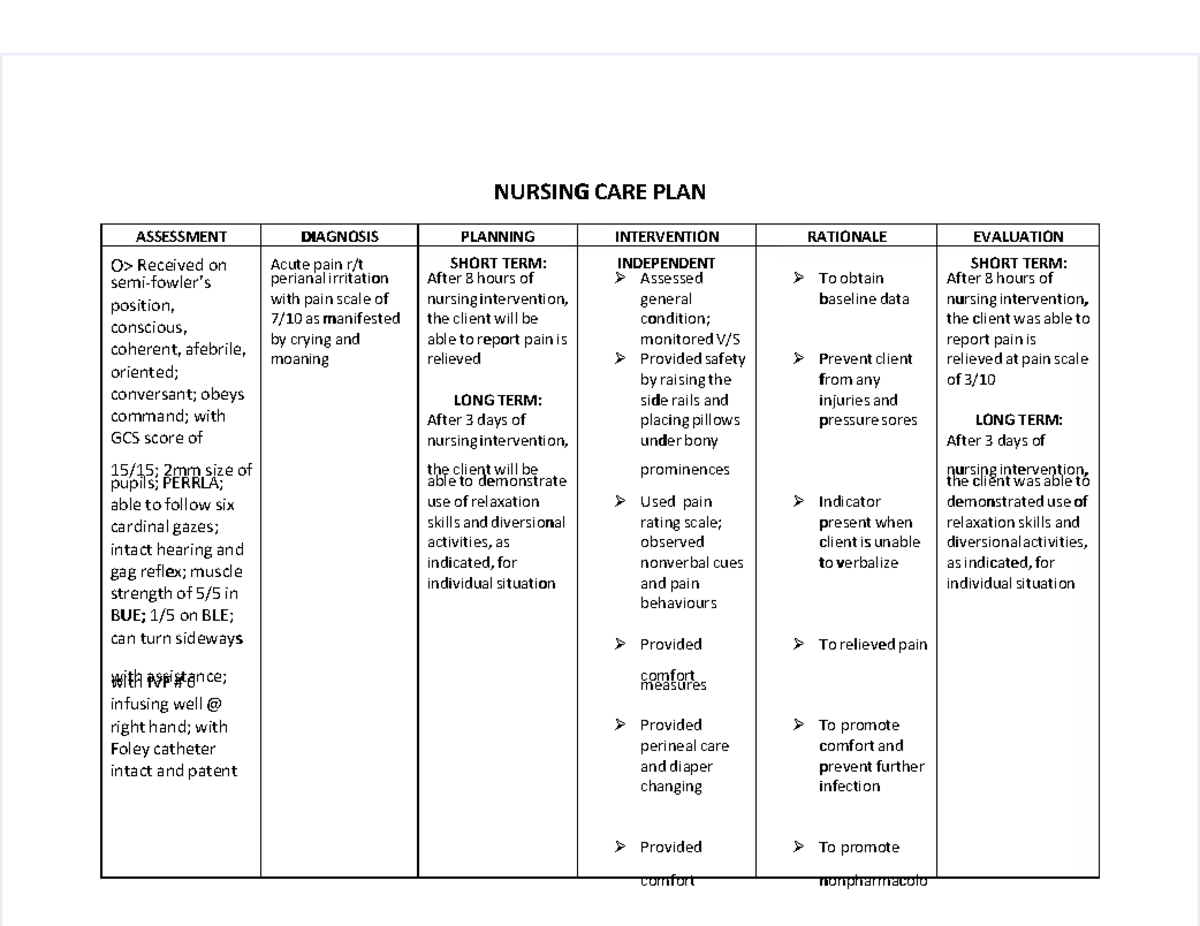 NURS 101 Nursing Care Plan: Assessment & Interventions for Pain Relief ...