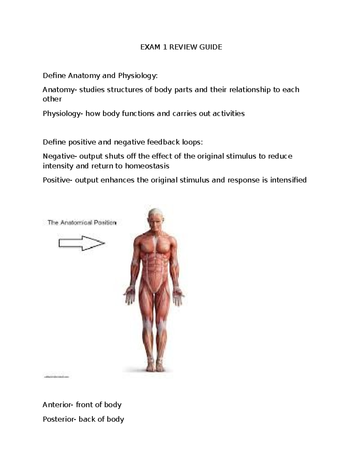 ANATOMY & PHYSIOLOGY EXAM 1 REVIEW GUIDE - Studocu